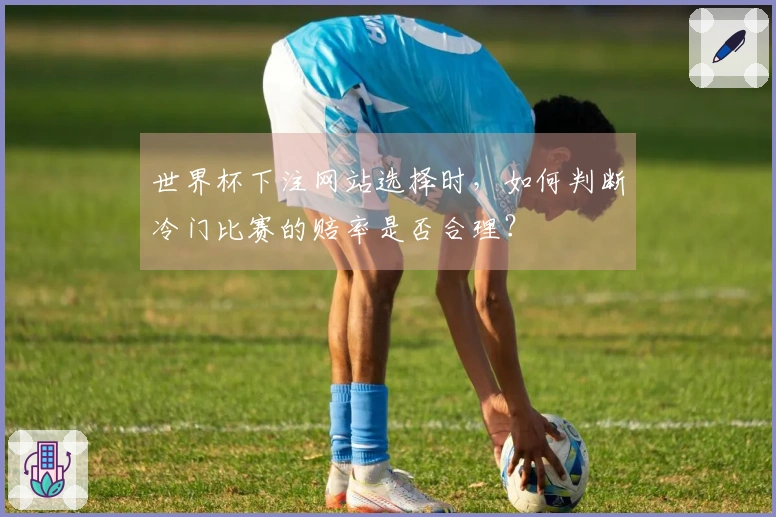 世界杯下注网站选择时，如何判断冷门比赛的赔率是否合理？