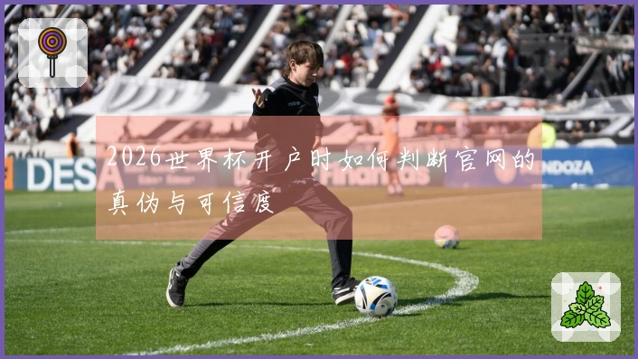 2026世界杯开户时如何判断官网的真伪与可信度