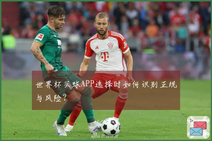 世界杯买球APP选择时如何识别正规与风险？