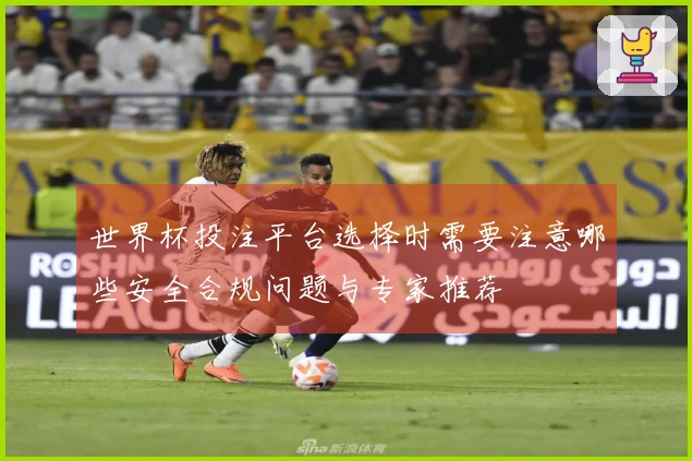 世界杯投注平台选择时需要注意哪些安全合规问题与专家推荐