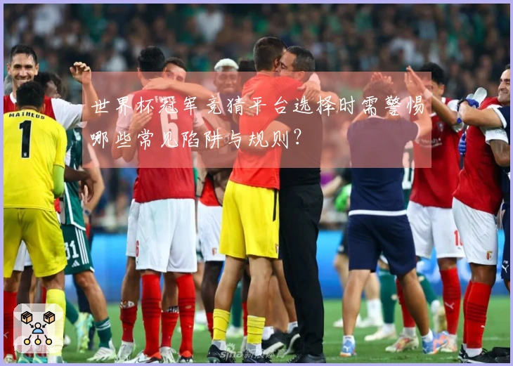 世界杯冠军竞猜平台选择时需警惕哪些常见陷阱与规则？