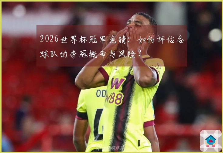 2026世界杯冠军竞猜：如何评估各球队的夺冠概率与风险？
