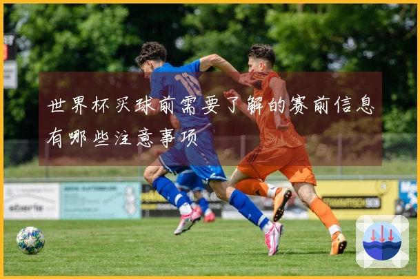 世界杯买球前需要了解的赛前信息有哪些注意事项