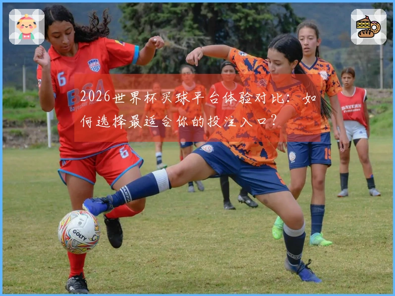 2026世界杯买球平台体验对比：如何选择最适合你的投注入口？