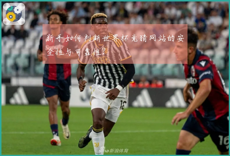 新手如何判断世界杯竞猜网站的安全性与可靠性？