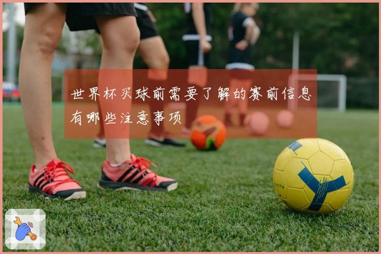 世界杯买球前需要了解的赛前信息有哪些注意事项