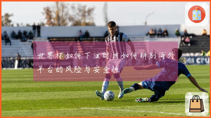 世界杯如何下注时该如何辨别海外平台的风险与安全性