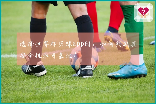 选择世界杯买球app时，如何判断其安全性和可靠性？
