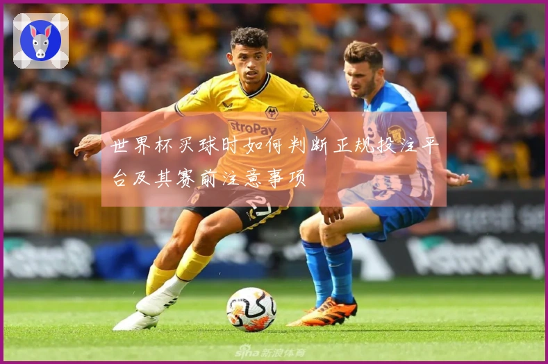 世界杯买球时如何判断正规投注平台及其赛前注意事项