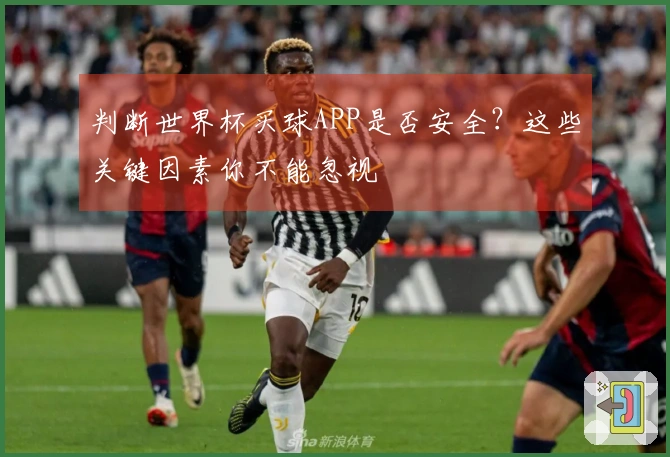 判断世界杯买球APP是否安全？这些关键因素你不能忽视