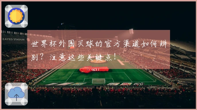 世界杯外围买球的官方渠道如何辨别?注意这些关键点!