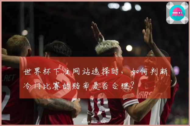 世界杯下注网站选择时，如何判断冷门比赛的赔率是否合理？