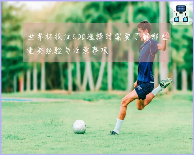 世界杯投注app选择时需要了解哪些重要经验与注意事项
