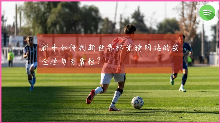 新手如何判断世界杯竞猜网站的安全性与可靠性？