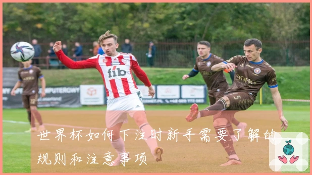 世界杯如何下注时新手需要了解的规则和注意事项