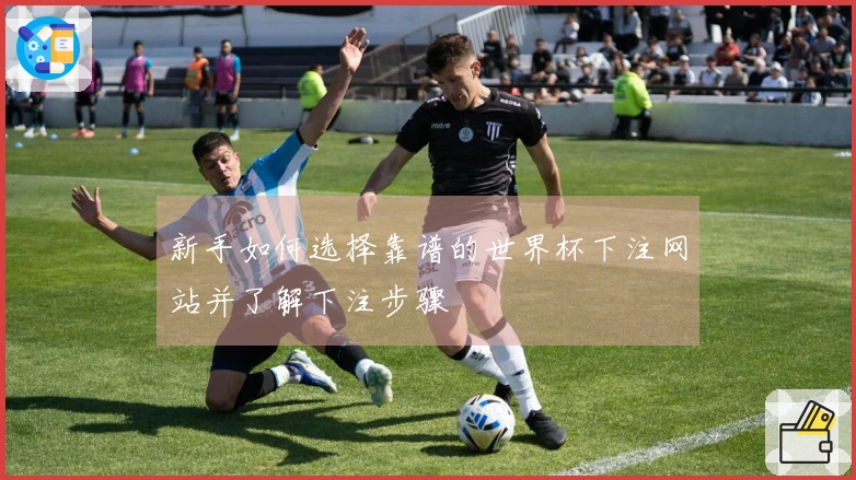 新手如何选择靠谱的世界杯下注网站并了解下注步骤
