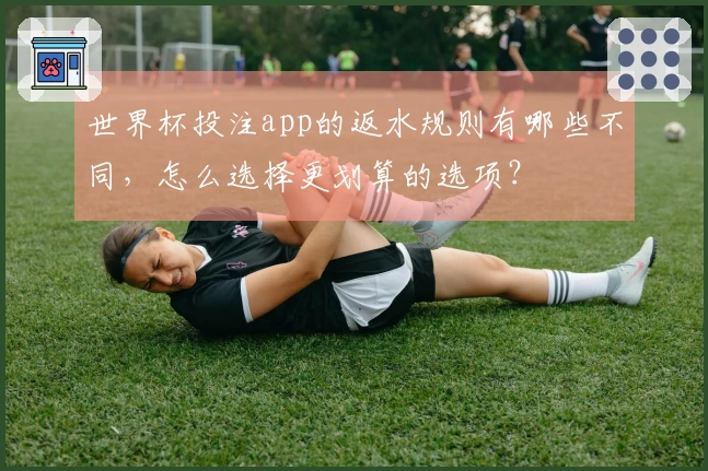 世界杯投注app的返水规则有哪些不同，怎么选择更划算的选项？