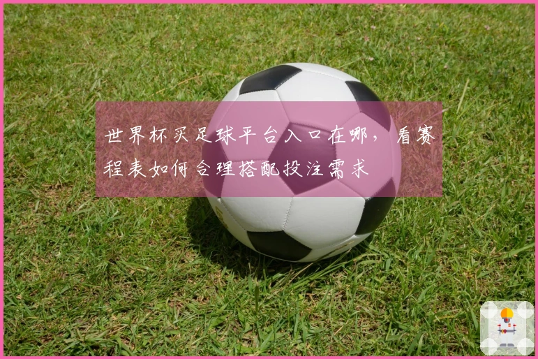 世界杯买足球平台入口在哪，看赛程表如何合理搭配投注需求