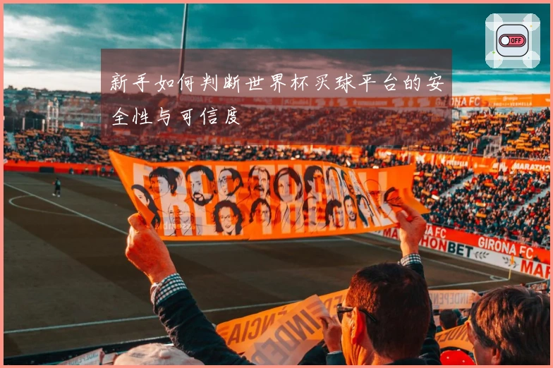 新手如何判断世界杯买球平台的安全性与可信度