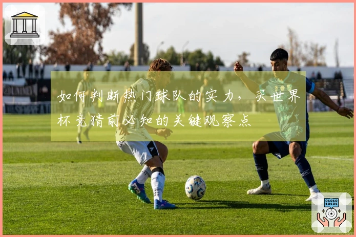 如何判断热门球队的实力，买世界杯竞猜前必知的关键观察点