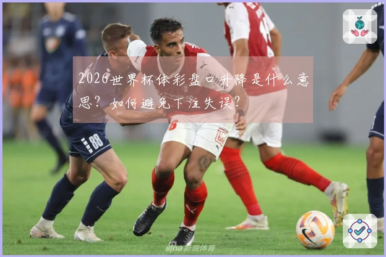 2026世界杯体彩盘口升降是什么意思？如何避免下注失误？