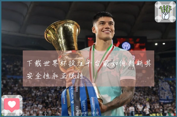 下载世界杯投注平台前如何判断其安全性和正规性