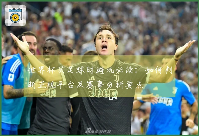 世界杯买足球时避坑必读：如何判断正规平台及赛事分析要点