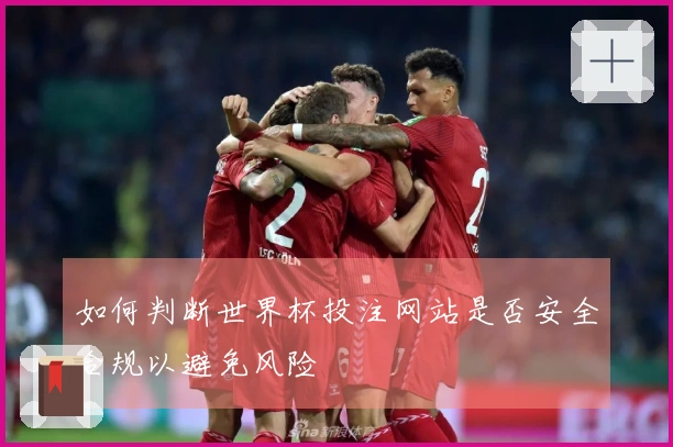 如何判断世界杯投注网站是否安全合规以避免风险