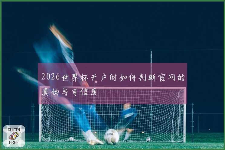2026世界杯开户时如何判断官网的真伪与可信度