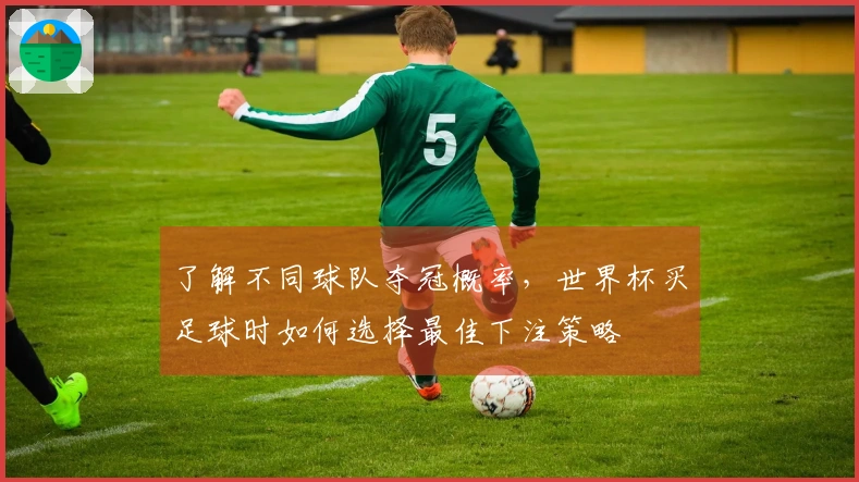 了解不同球队夺冠概率，世界杯买足球时如何选择最佳下注策略