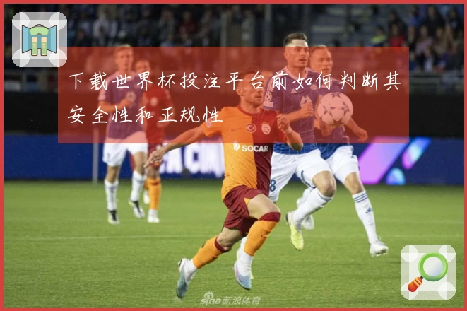 下载世界杯投注平台前如何判断其安全性和正规性