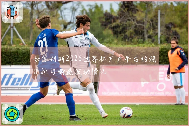 如何判断2026世界杯开户平台的稳定性与输赢波动情况