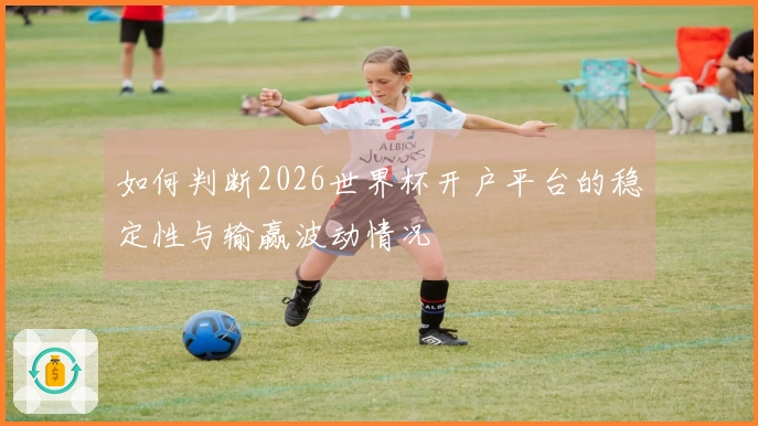 如何判断2026世界杯开户平台的稳定性与输赢波动情况