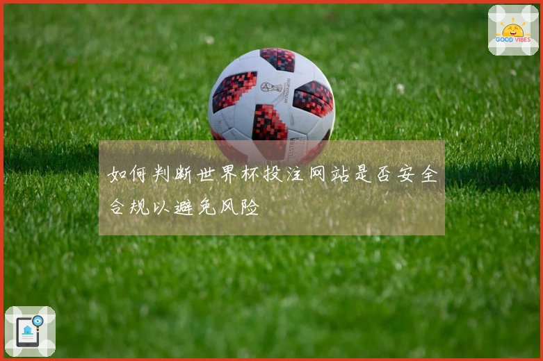 如何判断世界杯投注网站是否安全合规以避免风险