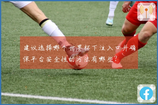 建议选择哪个世界杯下注入口并确保平台安全性的方法有哪些？