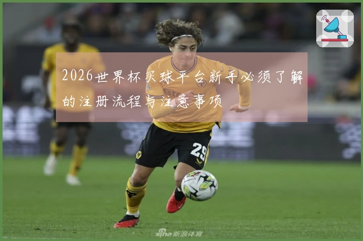 2026世界杯买球平台新手必须了解的注册流程与注意事项