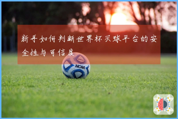 新手如何判断世界杯买球平台的安全性与可信度