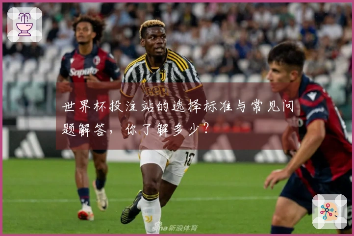 世界杯投注站的选择标准与常见问题解答，你了解多少？