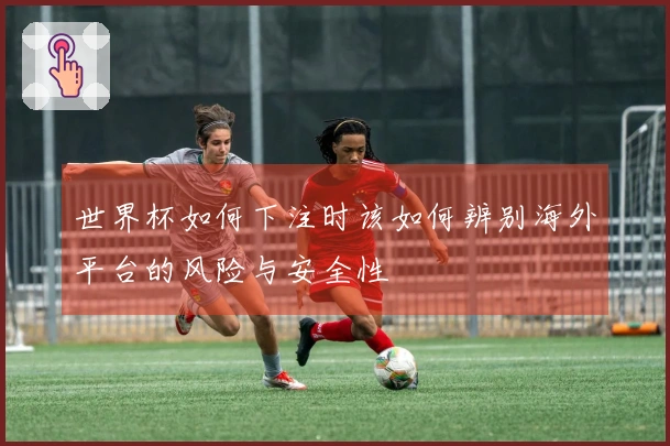 世界杯如何下注时该如何辨别海外平台的风险与安全性