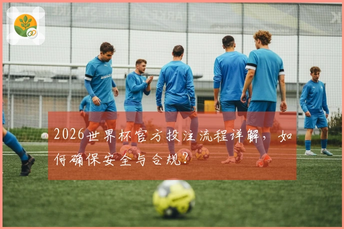 2026世界杯官方投注流程详解，如何确保安全与合规？