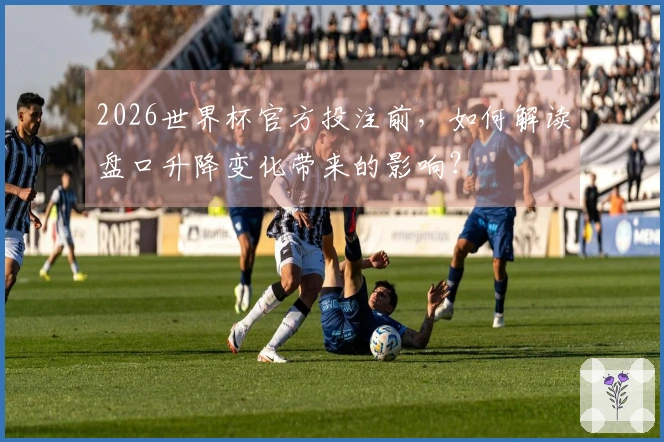 2026世界杯官方投注前，如何解读盘口升降变化带来的影响？