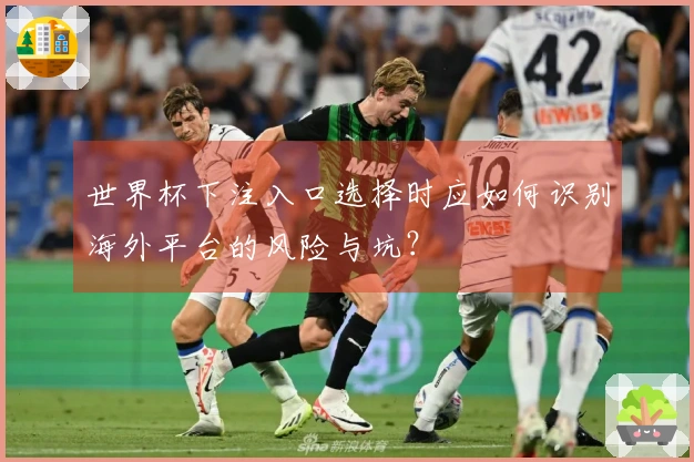 世界杯下注入口选择时应如何识别海外平台的风险与坑？
