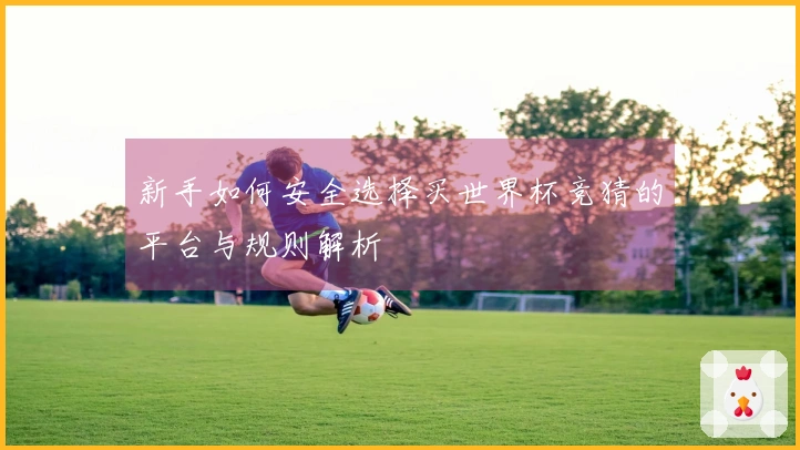 新手如何安全选择买世界杯竞猜的平台与规则解析