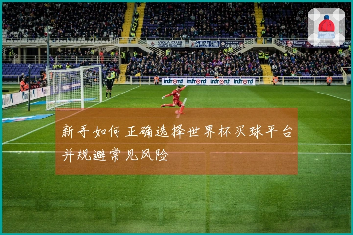新手如何正确选择世界杯买球平台并规避常见风险