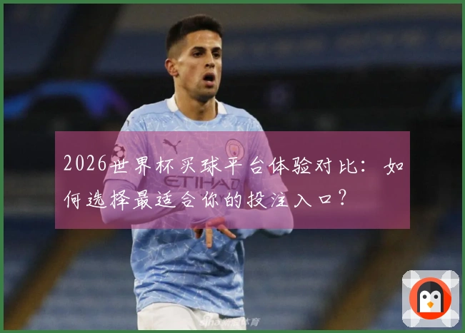 2026世界杯买球平台体验对比：如何选择最适合你的投注入口？