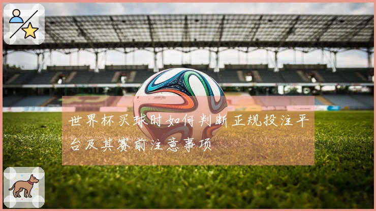 世界杯买球时如何判断正规投注平台及其赛前注意事项