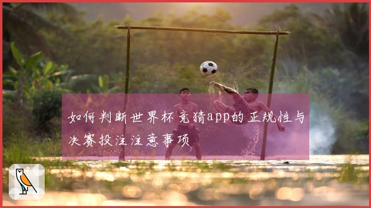 如何判断世界杯竞猜app的正规性与决赛投注注意事项